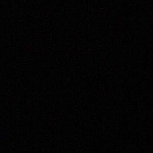 Meet your Posher, Leo